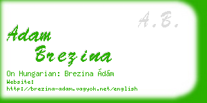 adam brezina business card